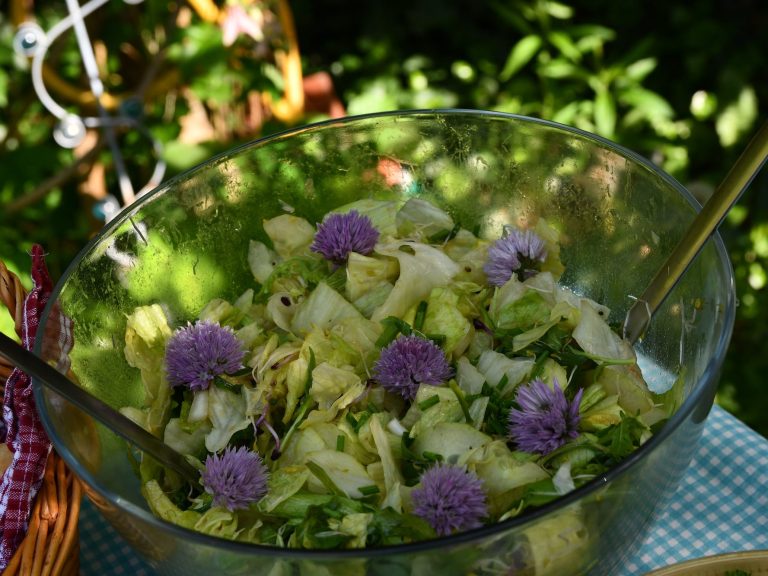 Eine Glasschüssel gefüllt mit Salat und Kräutern. Darauf dekoriert sind Schnittlauchblüten zu sehen.