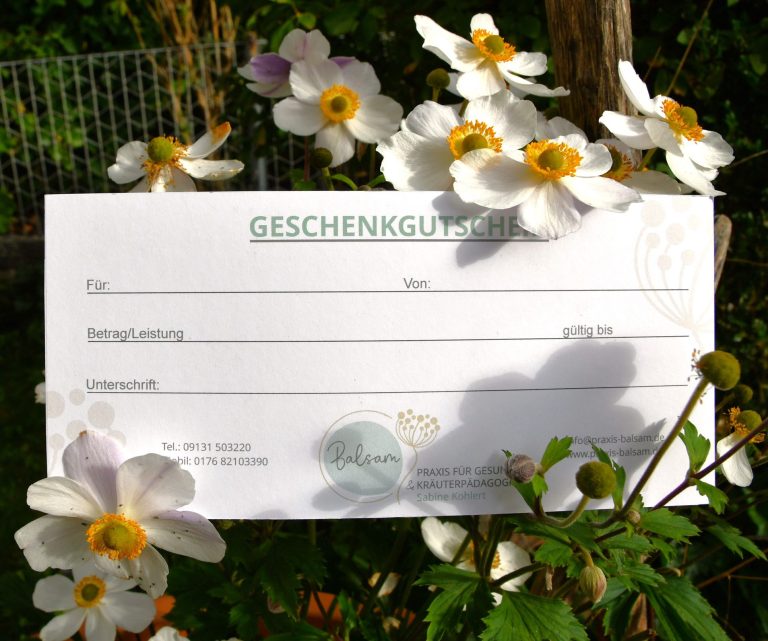 Ein Geschenkgutschein mit dem Logo der Praxis Balsam. Umrankt von weißen Anemonenblüten.