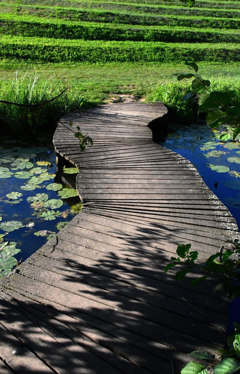 Ein geschwungener Holzsteg führt über ein Wasser mit Seerosenblättern. Im Hintergrund eine in Stufen angelegte grüne Wiese.